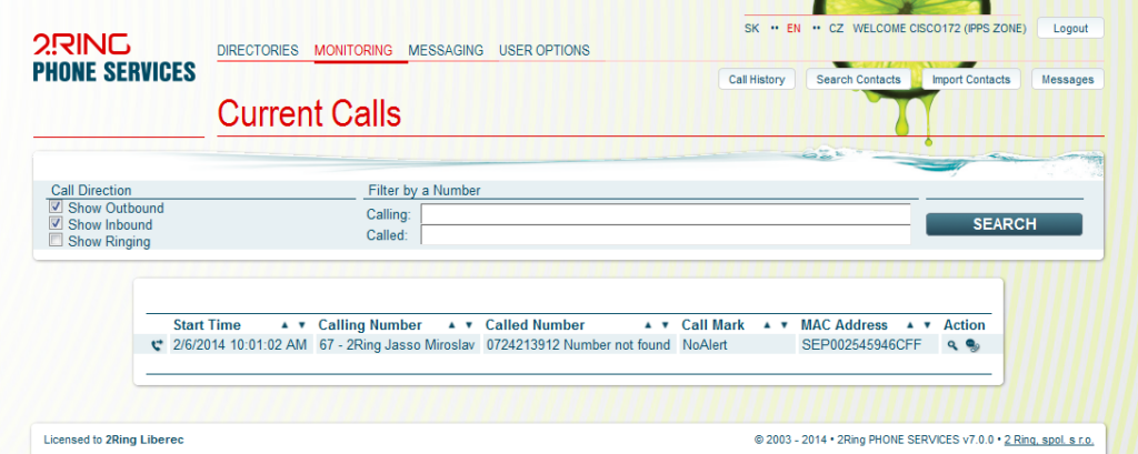 List of current calls in progress